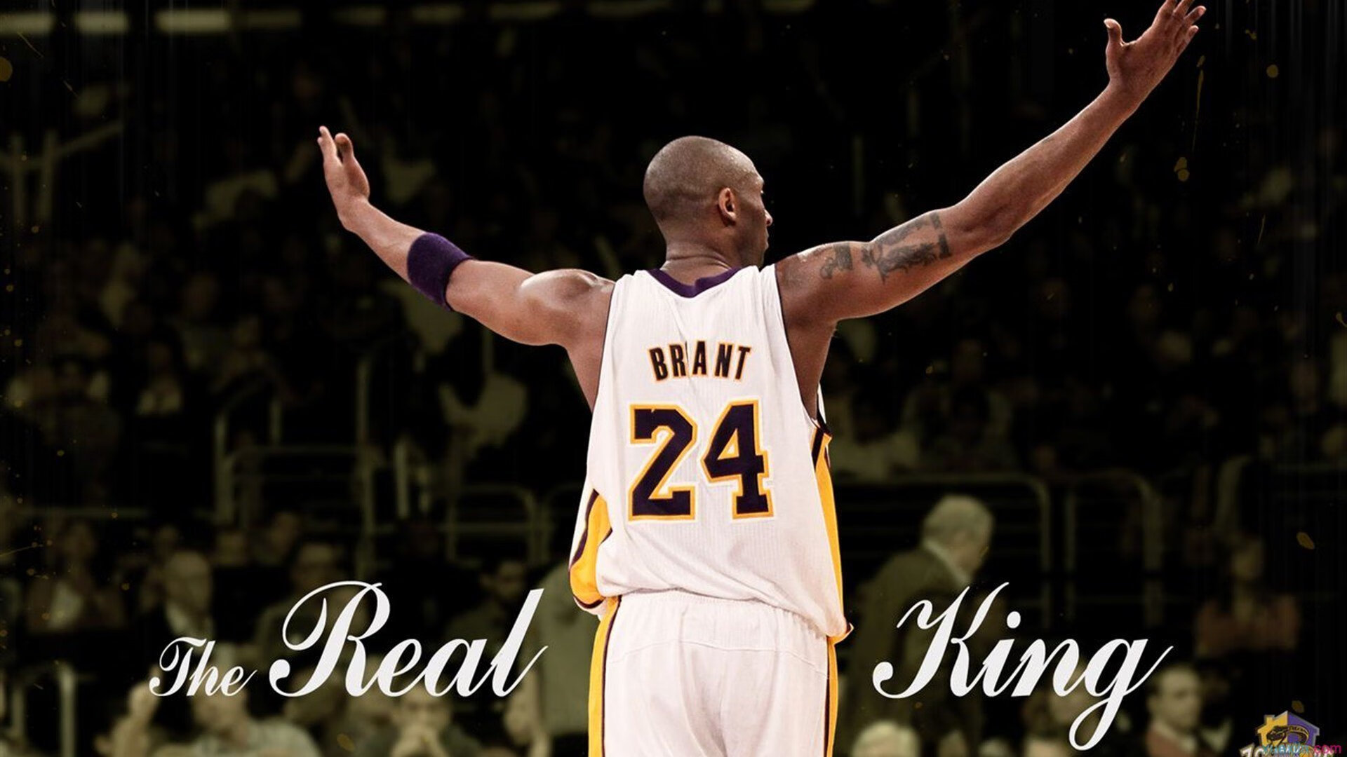 《CS_GO》年度最强战队排名出炉，谁是最具实力的冠军？，csgo战队实力排行